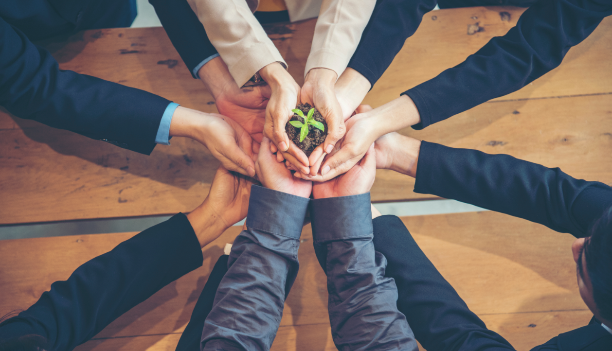 A young plant held by many hands